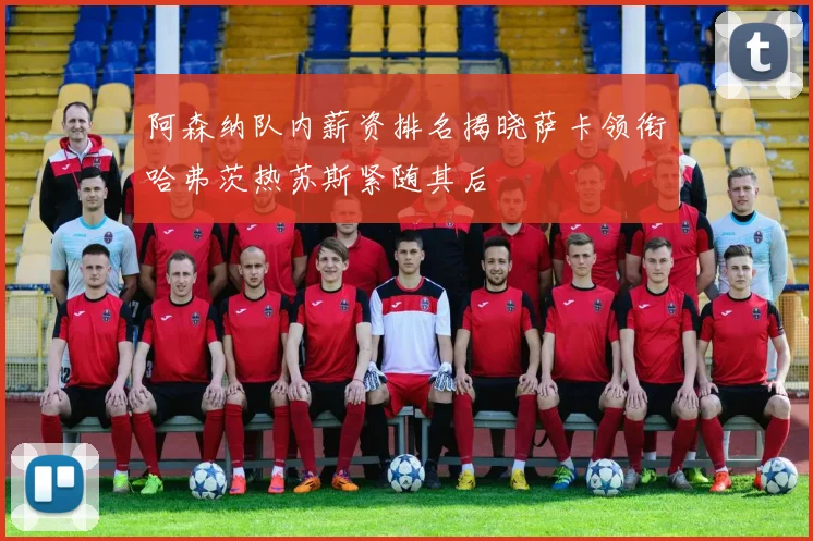 阿森纳队内薪资排名揭晓萨卡领衔哈弗茨热苏斯紧随其后